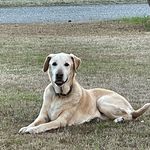 Charity M Cooke - @seamcookie - Instagram