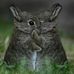 Charity Dunn - Facebook