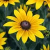 Charity Shilling Larson - @charity.shilling - TikTok