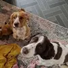 Charity Ryan - @charity.ryan4 - TikTok