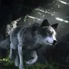 Charity Lewis - @twilightwolfcharity - TikTok