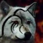 Charity Wolf - @charitywolfpack - Instagram