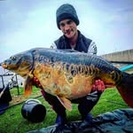 Charl Coetzee - @charlgoescarping - Instagram