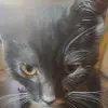 charl_spam - @charlcoetzee3 - TikTok