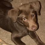 Charla Griffin - @cmgriffin1971 - Instagram