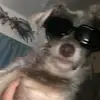 Charlee - @charlee._.bell - TikTok