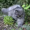 charleebell094 - @charleebell094 - TikTok
