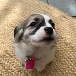 Charlee Hall - @adventuresofcharlee__ - Instagram