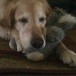 Charlie Hall - @charlie____hall - Instagram