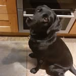 Charlie Newman - @charlie.newman.3557 - Instagram