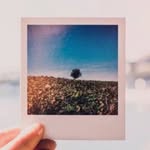 Charlee Parker - @charleelikesit - Instagram
