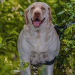 Charlie Parker - @charlie_parker_03 - Instagram