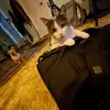 P_Body - @charlee_parker_holme - TikTok