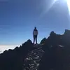 Charlie Rogers - @charlierogers_ - TikTok