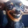 charleighallen4 - @charleighallen4 - TikTok