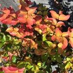 Charlene Baxter - @charlenebaxter1450 - Instagram