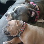 Charlene Baxter Huff - @charlenehuff40 - Instagram