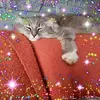 Charlene Bishop - @charlene.bishop - TikTok