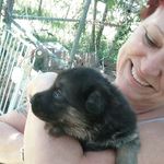 Charlene Smedick Burrell - @charleneburrell64 - Instagram