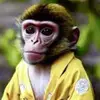Monkey Baby - @charlenecampbell6 - TikTok