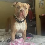 Charlene Carmichael - @brett_and_charlene - Instagram