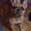 Charlene Collins - @charlene.collins - TikTok