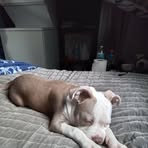 Charlene Cox - Facebook