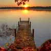 charleneqfloraw - @charleneqfloraw - TikTok