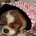 Charlene Good - Facebook