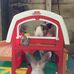 Charlene Hecht - Facebook