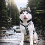 Charlene Howell - @yqwauy3690 - Instagram