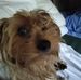 Charlene Ison - Facebook