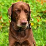 Charlene King - @charlene.king.7374 - Instagram