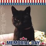 Charlene McDermott - @midnight2012122018 - Instagram