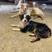 Charlene Binkey McWilliams - Facebook