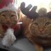 Charlene Mcwilliams - Facebook