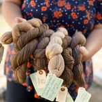 Charlene Payne Schmid - @integrity_alpacas - Instagram