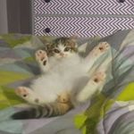 Charlene Sinclair - @charlene.sinclair.12 - Instagram