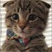 Charlene Kay Strand - Facebook