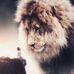 Charlene Strong - Facebook