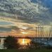 Charlene Todd Watson - Facebook