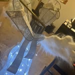 Charlene Torrence - @charlene.torrence - Instagram
