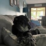 Charlene Wagner - @charlenewagner0665 - Instagram