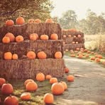Charlene Warner - Facebook