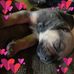 Charlene West - Facebook