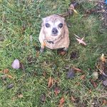 Charlene Whitaker - @charlenewhitaker - Instagram