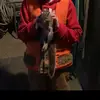 charlesabbott16 - @charlesabbott16 - TikTok