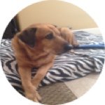 Charles Xavier Abrams - @archdukecharlieabrams - Instagram