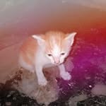 Agus Charles - @charles.agus - Instagram