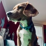 Chad Akers - @charles.akers.96 - Instagram